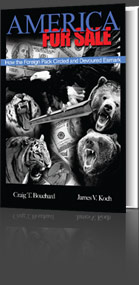 America for Sale cover
